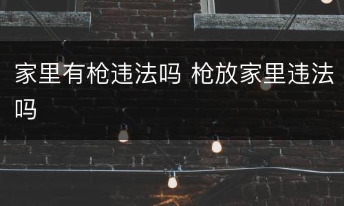 家里有枪违法吗 枪放家里违法吗