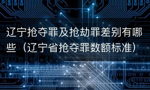辽宁抢夺罪及抢劫罪差别有哪些（辽宁省抢夺罪数额标准）