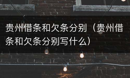 贵州借条和欠条分别（贵州借条和欠条分别写什么）