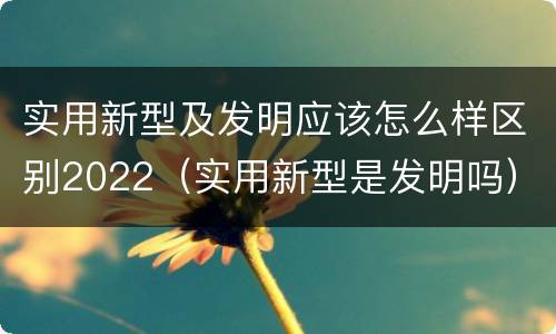 实用新型及发明应该怎么样区别2022（实用新型是发明吗）