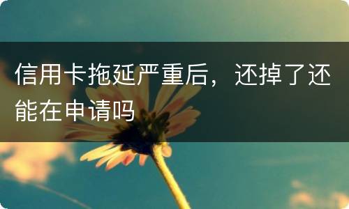 信用卡拖延严重后，还掉了还能在申请吗