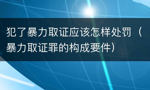 犯了暴力取证应该怎样处罚（暴力取证罪的构成要件）
