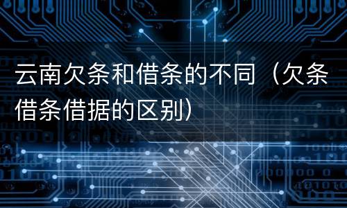 云南欠条和借条的不同（欠条借条借据的区别）