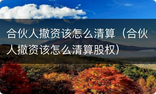 合伙人撤资该怎么清算（合伙人撤资该怎么清算股权）