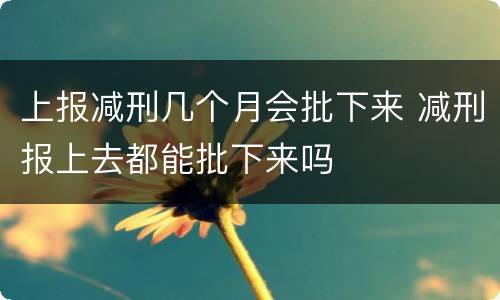 上报减刑几个月会批下来 减刑报上去都能批下来吗