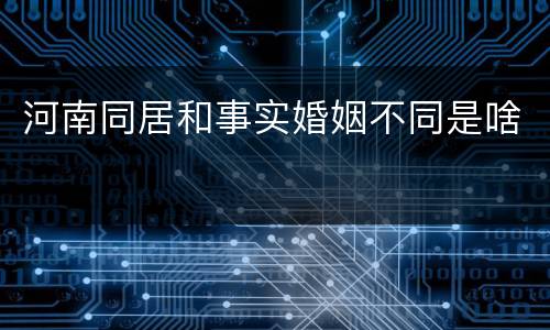 河南同居和事实婚姻不同是啥