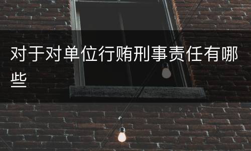 对于对单位行贿刑事责任有哪些