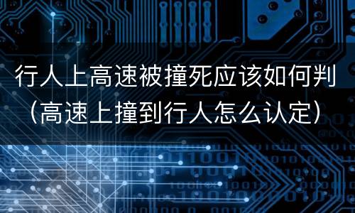 行人上高速被撞死应该如何判（高速上撞到行人怎么认定）