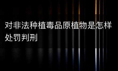 对非法种植毒品原植物是怎样处罚判刑