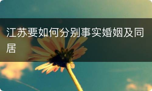 江苏要如何分别事实婚姻及同居