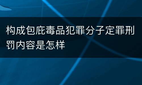 构成包庇毒品犯罪分子定罪刑罚内容是怎样