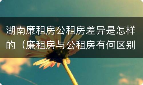 湖南廉租房公租房差异是怎样的（廉租房与公租房有何区别）