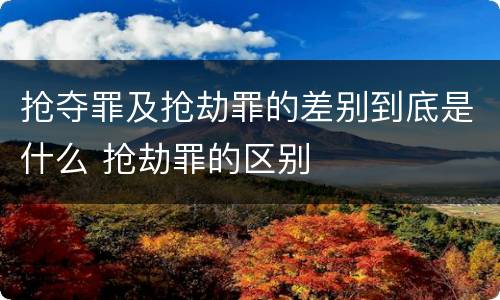 抢夺罪及抢劫罪的差别到底是什么 抢劫罪的区别