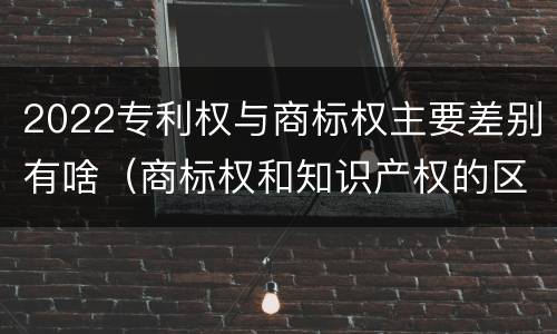 2022专利权与商标权主要差别有啥（商标权和知识产权的区别）