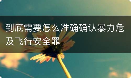 到底需要怎么准确确认暴力危及飞行安全罪