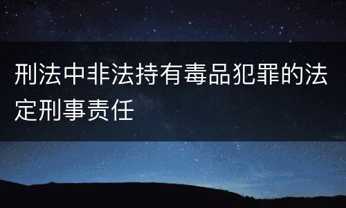 刑法中非法持有毒品犯罪的法定刑事责任