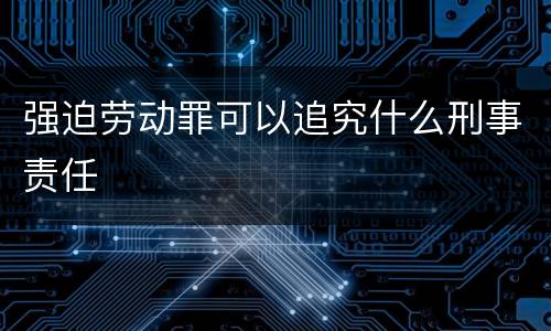 强迫劳动罪可以追究什么刑事责任