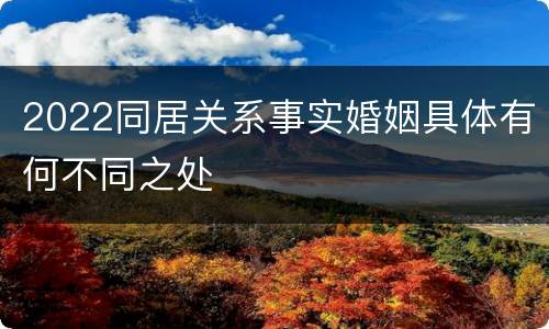 2022同居关系事实婚姻具体有何不同之处