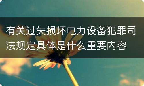 有关过失损坏电力设备犯罪司法规定具体是什么重要内容