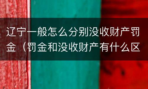 辽宁一般怎么分别没收财产罚金（罚金和没收财产有什么区别）