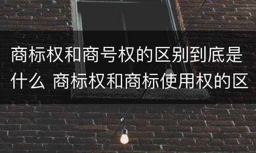 商标权和商号权的区别到底是什么 商标权和商标使用权的区别