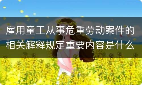 雇用童工从事危重劳动案件的相关解释规定重要内容是什么
