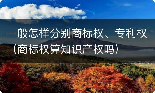 一般怎样分别商标权、专利权（商标权算知识产权吗）