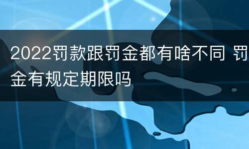 2022罚款跟罚金都有啥不同 罚金有规定期限吗