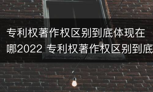 专利权著作权区别到底体现在哪2022 专利权著作权区别到底体现在哪2022年