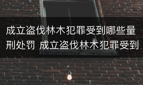 成立盗伐林木犯罪受到哪些量刑处罚 成立盗伐林木犯罪受到哪些量刑处罚