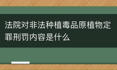法院对非法种植毒品原植物定罪刑罚内容是什么
