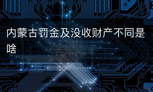 内蒙古罚金及没收财产不同是啥