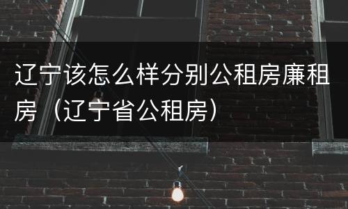 辽宁该怎么样分别公租房廉租房（辽宁省公租房）