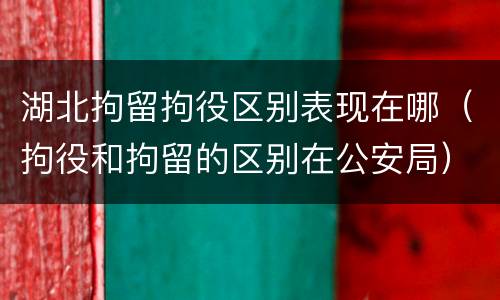 湖北拘留拘役区别表现在哪（拘役和拘留的区别在公安局）