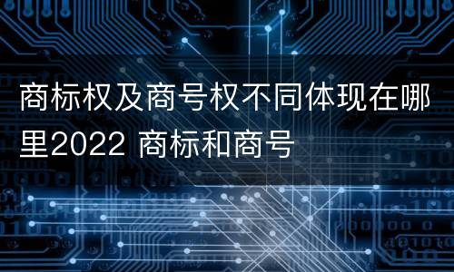 商标权及商号权不同体现在哪里2022 商标和商号