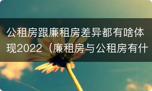 公租房跟廉租房差异都有啥体现2022（廉租房与公租房有什么不同）