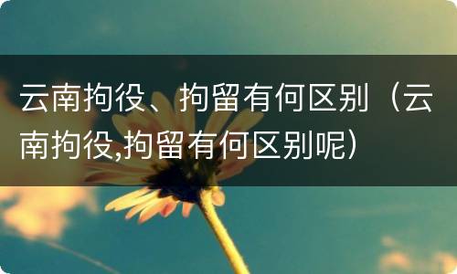 云南拘役、拘留有何区别（云南拘役,拘留有何区别呢）