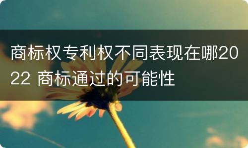 商标权专利权不同表现在哪2022 商标通过的可能性