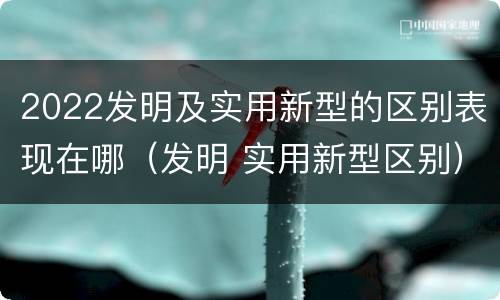 2022发明及实用新型的区别表现在哪（发明 实用新型区别）