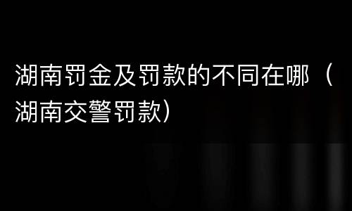 湖南罚金及罚款的不同在哪（湖南交警罚款）