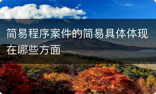 简易程序案件的简易具体体现在哪些方面