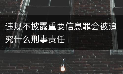 违规不披露重要信息罪会被追究什么刑事责任