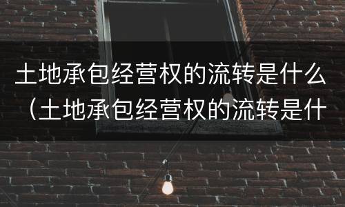 土地承包经营权的流转是什么（土地承包经营权的流转是什么时候开始的）