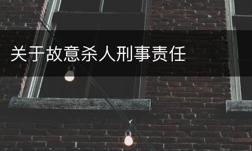 关于故意杀人刑事责任