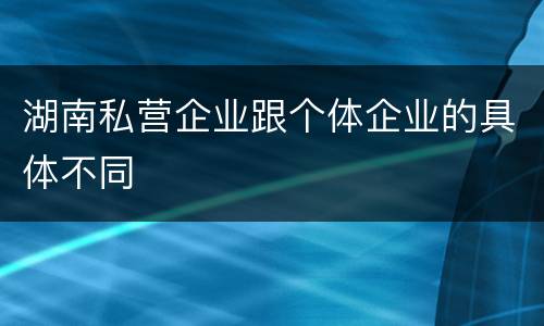 湖南私营企业跟个体企业的具体不同