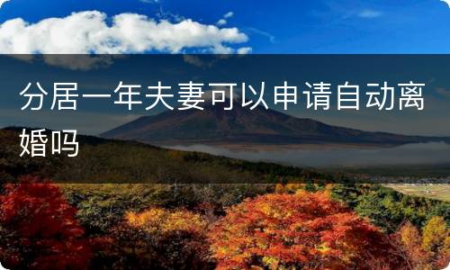 分居一年夫妻可以申请自动离婚吗