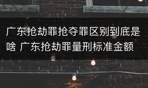 广东抢劫罪抢夺罪区别到底是啥 广东抢劫罪量刑标准金额
