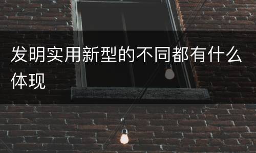 发明实用新型的不同都有什么体现
