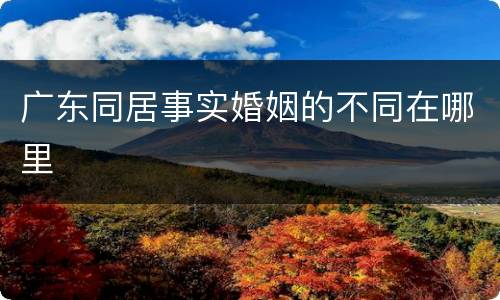 广东同居事实婚姻的不同在哪里