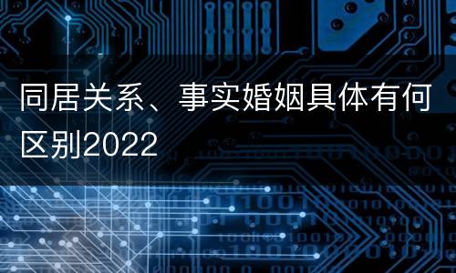 同居关系、事实婚姻具体有何区别2022